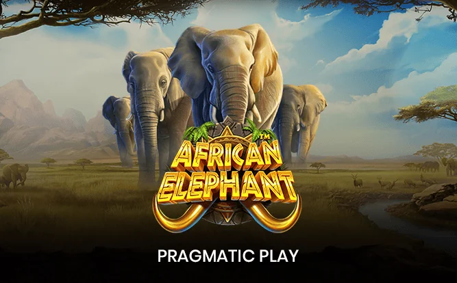African Elephant — RTP 96.04%