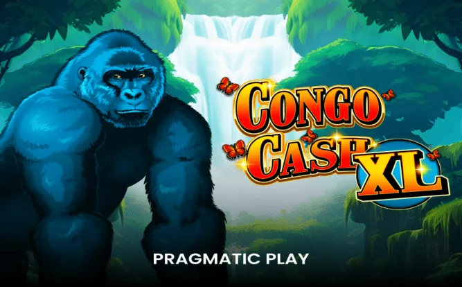 Congo Cash XL