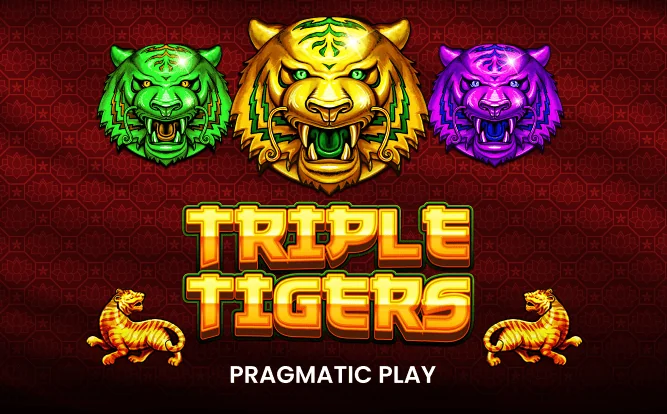 Triple Tigers